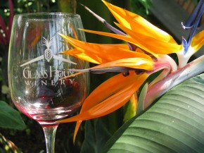 GlassandBirdofParadise